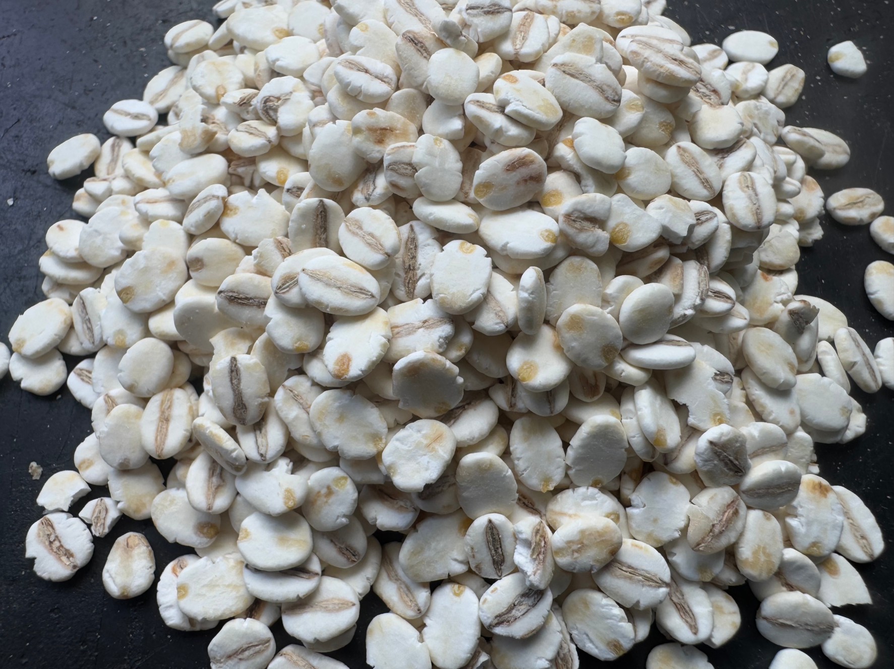 グレ釣りと押し麦の関係について、フカセ釣り初心者へご説明します。釣太郎