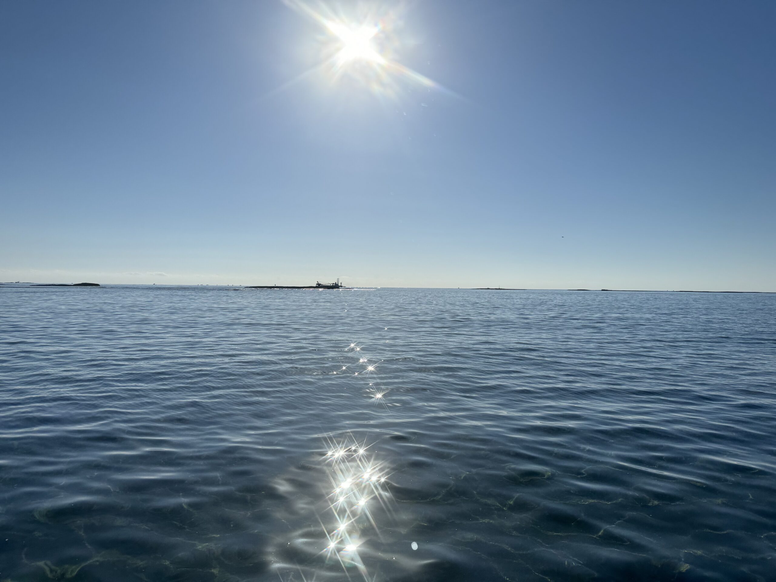 冬の日光浴は、寒さを感じながらも太陽の温もりを体感することで、心身ともに健康をサポートする素晴らしい方法です。釣太郎