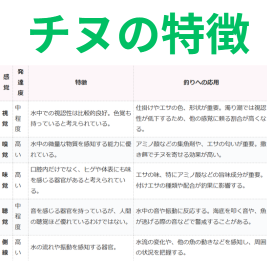 チヌ(クロダイ)の特徴紹介。釣太郎