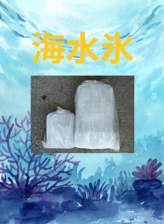 海水を凍らせた海水氷、真水氷より魚のいいと、釣り人に大ブレイク中。1キロと3㌔ご用意しています。釣太郎