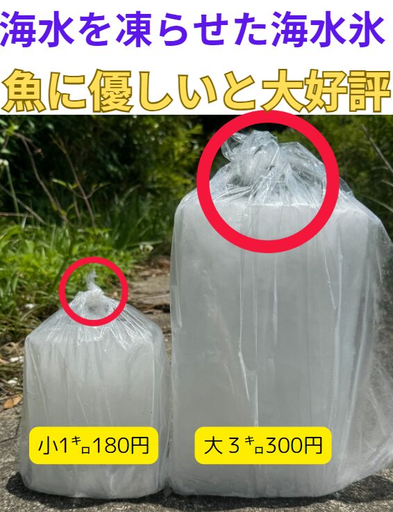 魚の冷却なら、真水氷より海水氷の方がお勧め？海水氷は釣太郎オリジナル。1キロと3㌔あります。