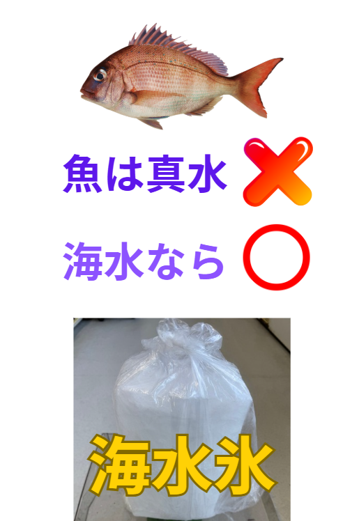 魚に優しい海水を凍らせた海水氷、小1㌔大3㌔、それぞれブロックご用意しています。釣太郎