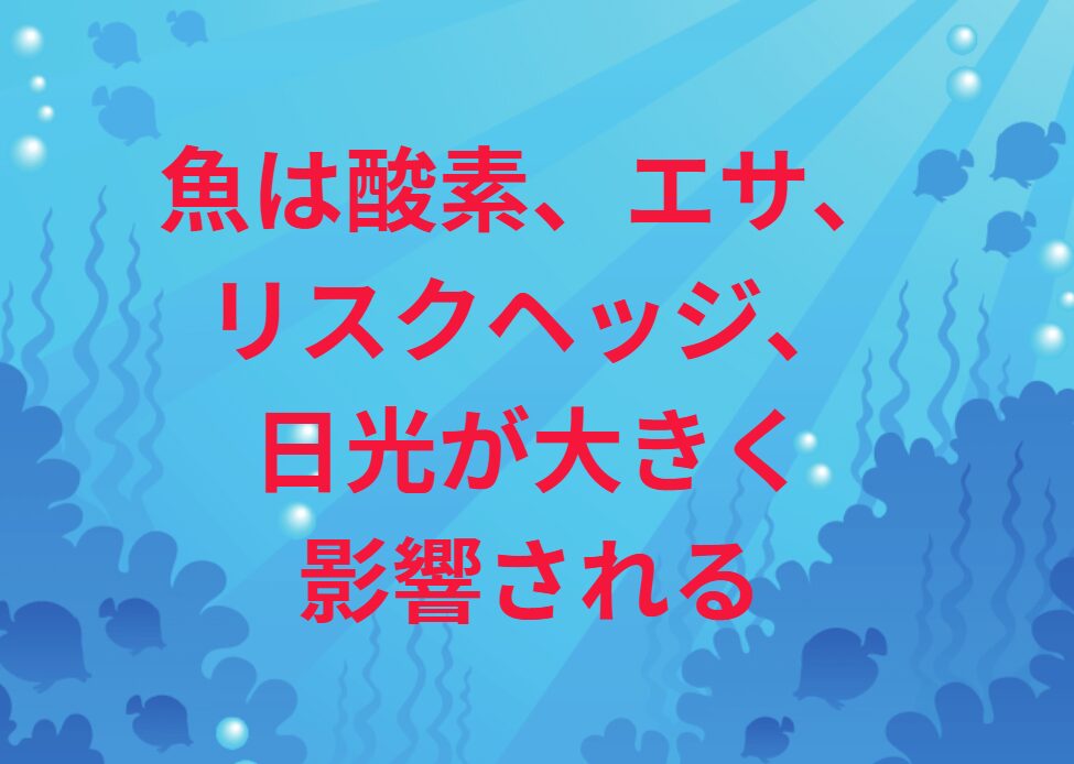 魚の生態において、日光(明るさ)は非常に重要な要素の一つであり、エサ、酸素、リスクヘッジ(捕食回避)に次ぐ生息地や行動パターンを決定づける要因となります。釣太郎