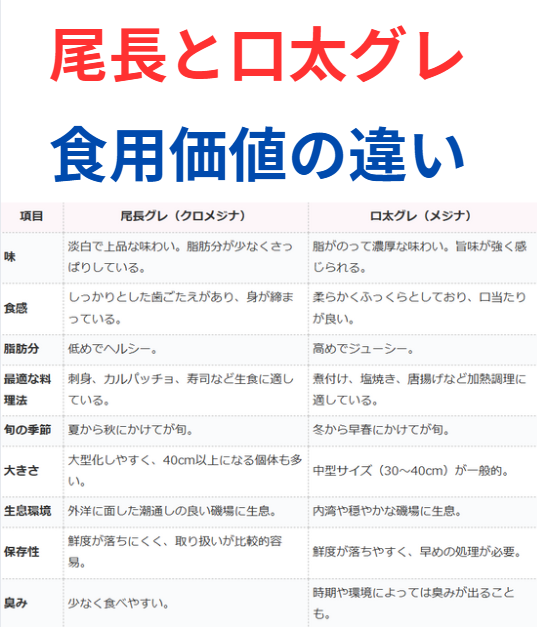 口太グレ（メジナ）と尾長グレ（黒メジナ）、食用価値の違い。【フカセ釣り入門】釣太郎