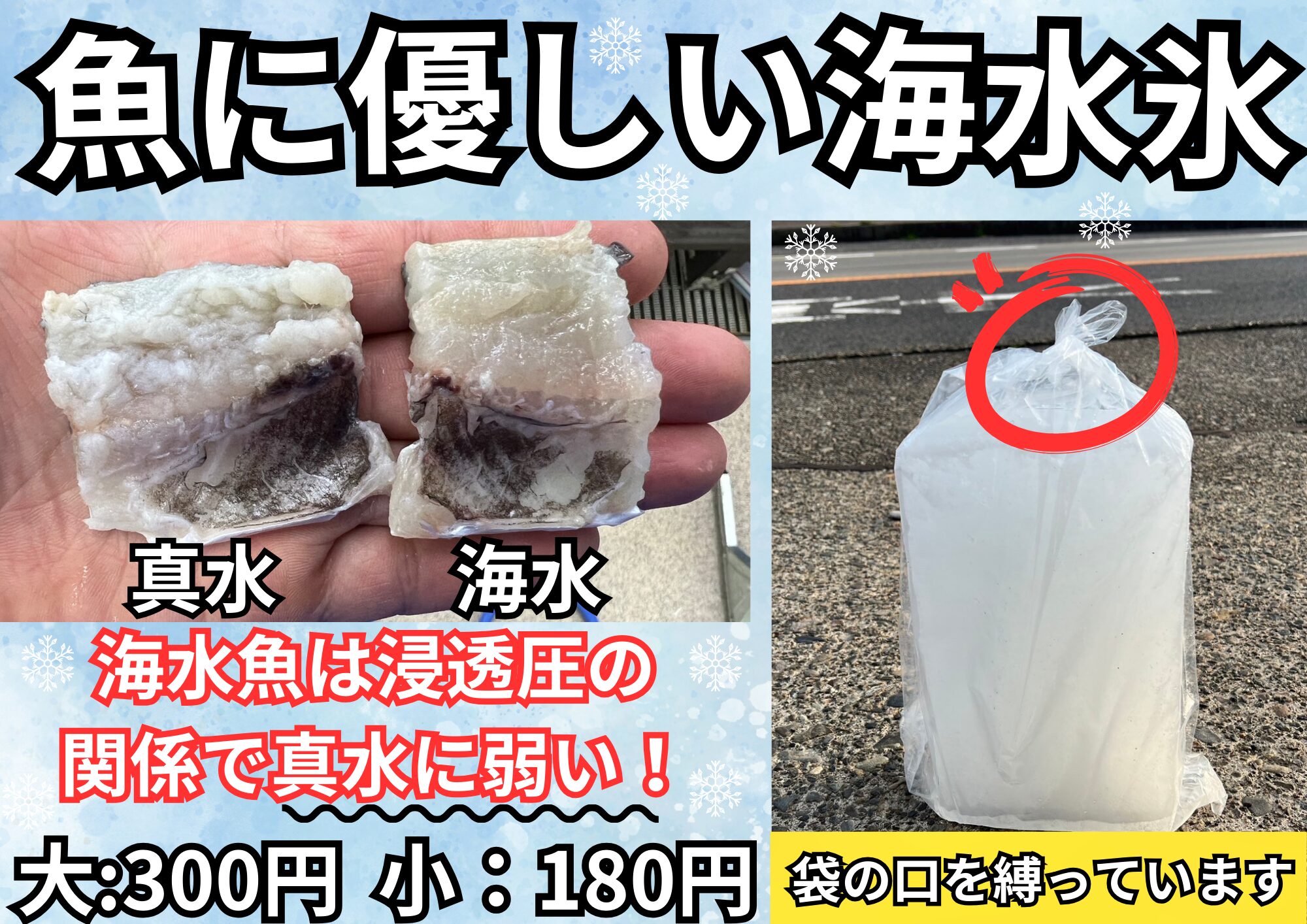 全国的にも珍しい海水氷。実は魚冷却には、真水氷より適しています。釣太郎では1キロと3㌔販売中。