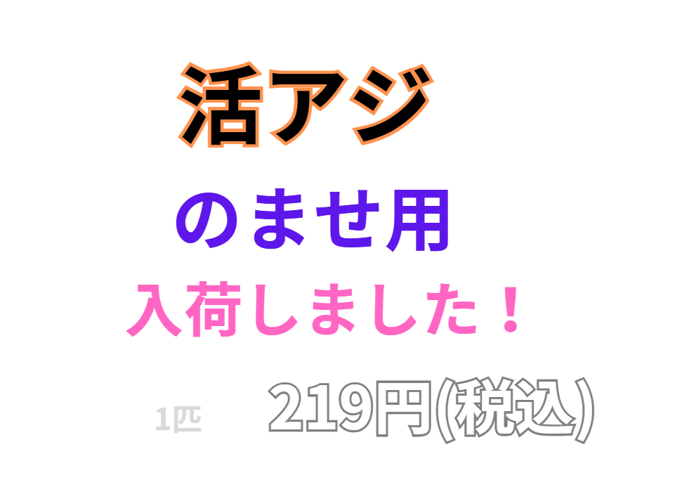 のませ釣り用活アジあります。アオリイカ釣り用も。1匹219円(税込)。釣太郎