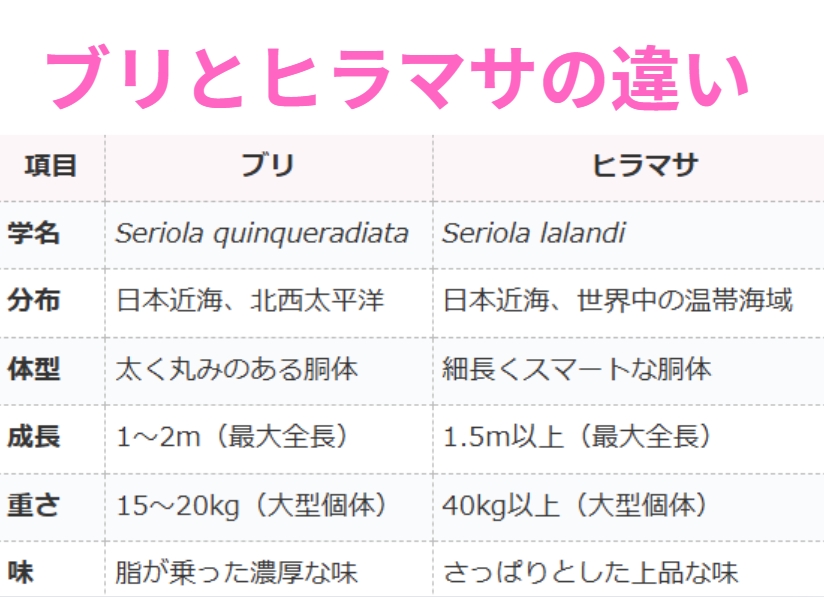 ブリとヒラマサの違い説明。青物魚釣り入門。釣太郎