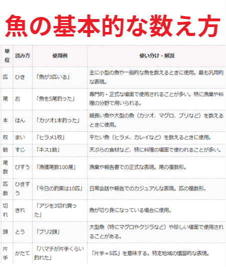 ややこしい魚の数え方。基本のご説明。釣太郎