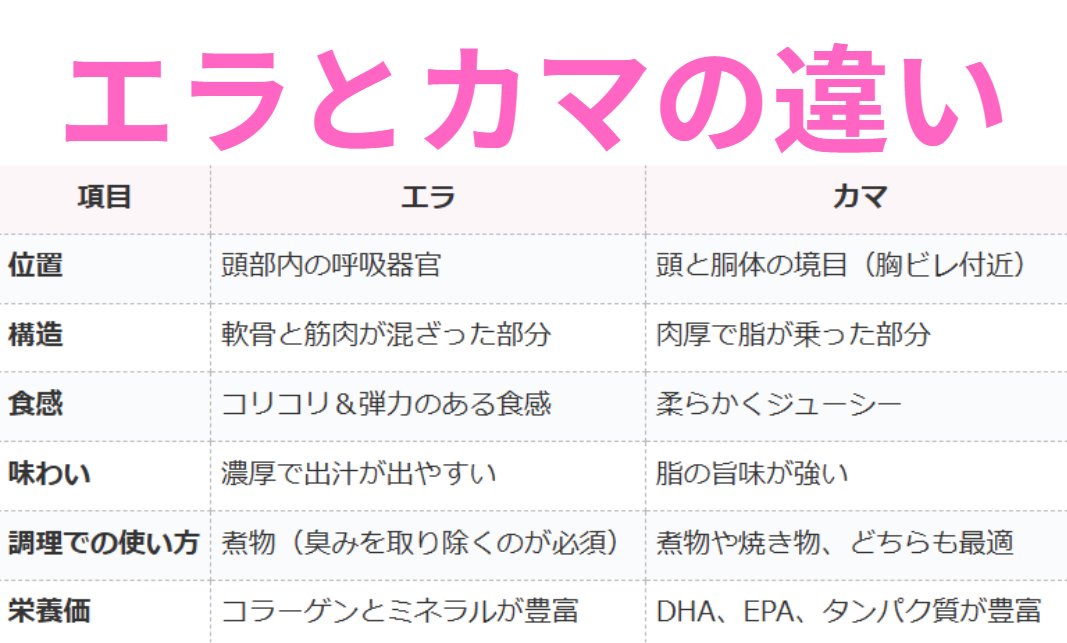 魚のエラとカマの違い説明。釣太郎