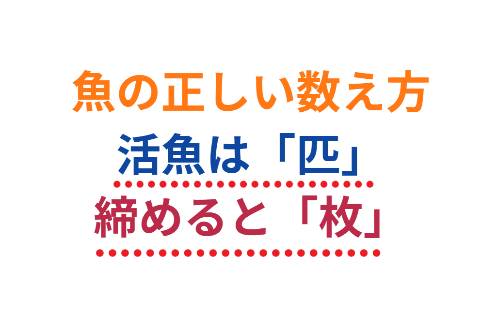 魚の正しい数え方は「生きているものは匹、締めて動かなくなったものは枚」。釣太郎