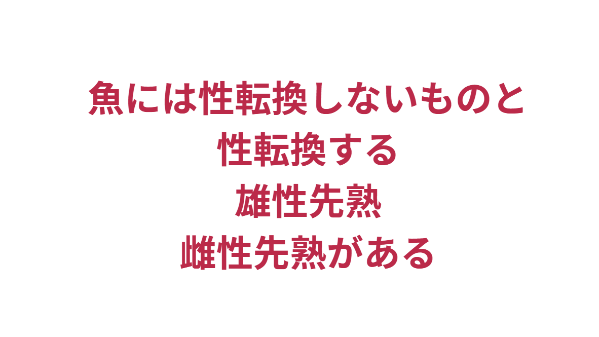 魚には性転換しないもの80%と、性転換する雄性先熟/雌性先熟がある。釣太郎