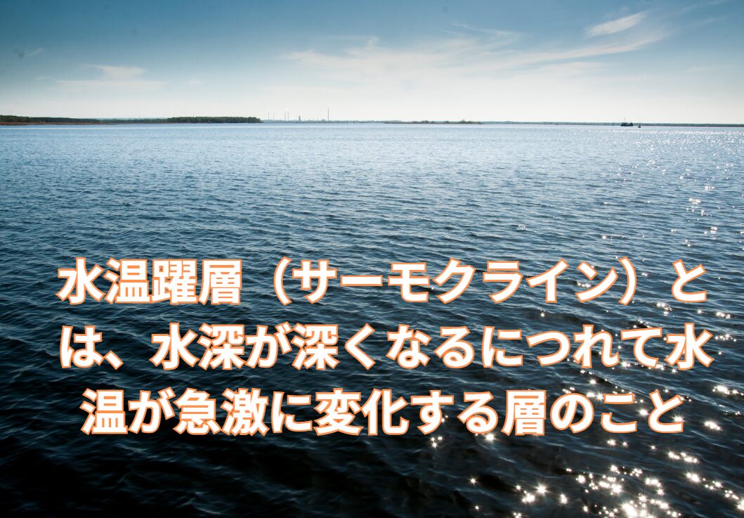 水温躍層（サーモクライン）とは、水深が深くなるにつれて水温が急激に変化する層のこと。釣太郎