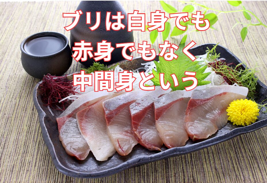 ブリやカンパチの身は、白身魚でも赤身魚でもなく、「中間身（ちゅうかんみ）」と分類されます。釣太郎