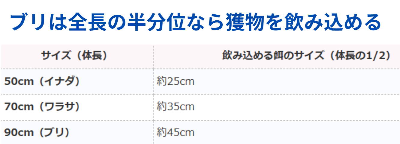 ブリが飲み込める魚の大きさについては、全長の約1/2程度までが一般的な目安とされています。釣太郎