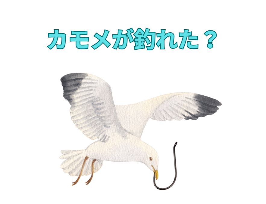 ボイルオキアミでグレ狙いだが、釣れたのはカモメ・・・。釣太郎