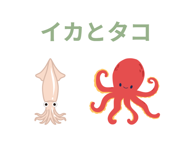 イカとタコ、似ているが何が同じ？どこが違う？釣太郎