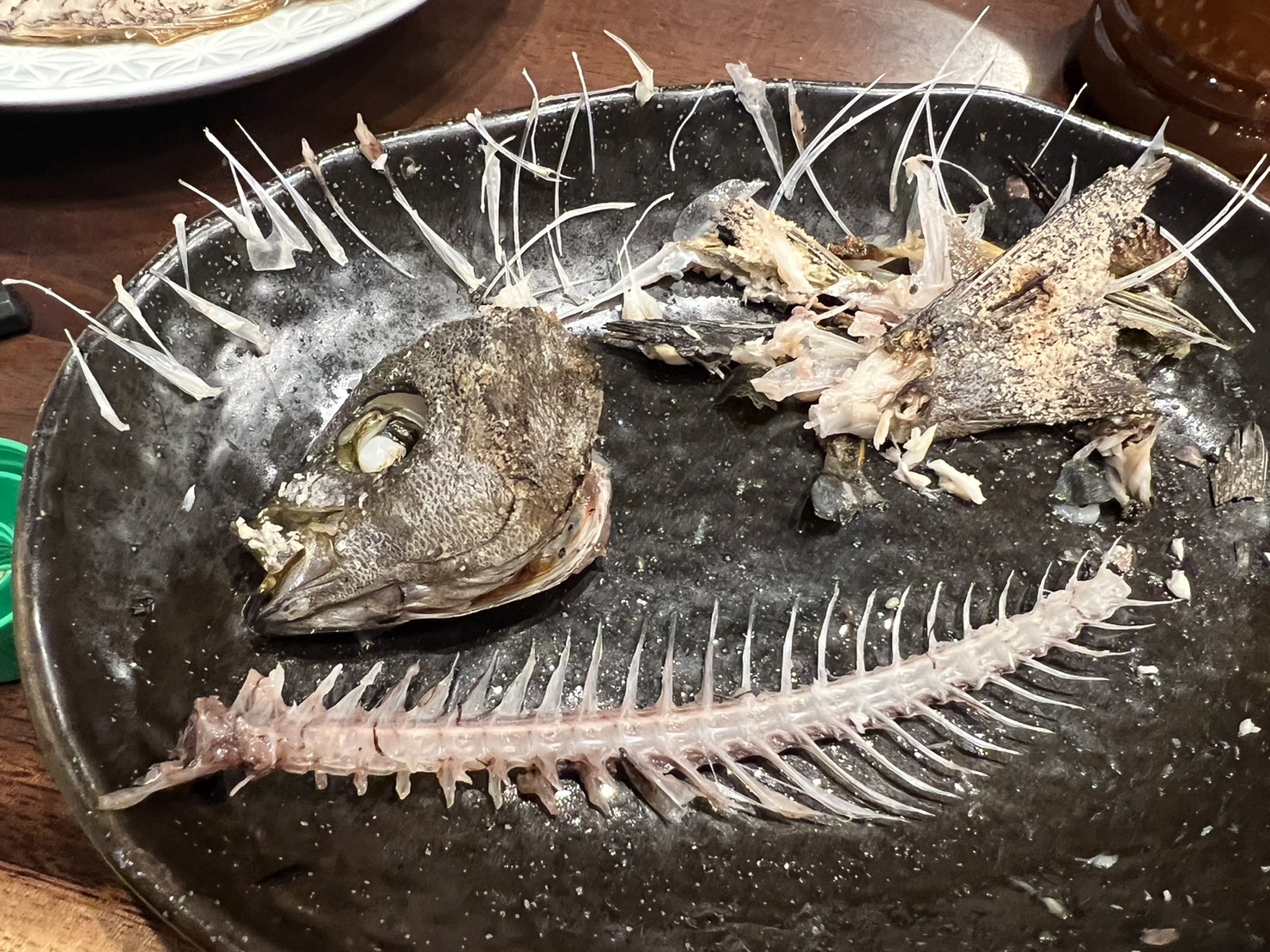 イサギの骨は鋭くて硬いが、毒性は低い。のどに刺さりやすく危険な魚の紹介。釣太郎