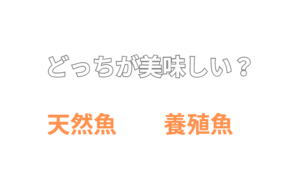 天然魚と養殖魚の違い、特に旬と品質の安定性についてご説明いたします。釣太郎