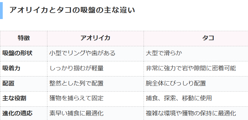 アオリイカとタコの吸盤の主な違い説明。釣太郎