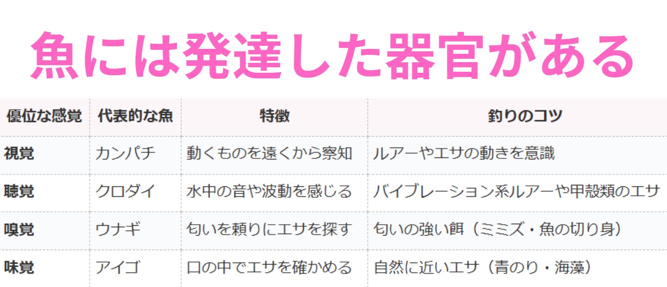 魚にはそれぞれ独自に発達した、優位器官がある。釣太郎