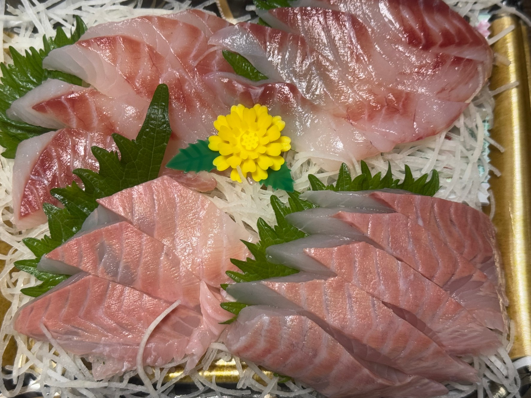 大晦日のグレ（メジナ）刺身は、どの程度のレベルなのか？釣太郎