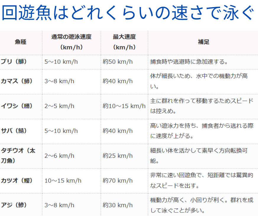 釣り人に人気がある回遊魚、ブリ、カマス、イワシ、サバ、タチウオ、カツオ、アジは時速何キロくらいに泳いでいる？釣太郎