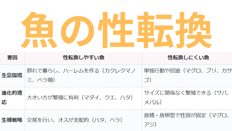 魚の性転換する決め手要因説明。釣太郎