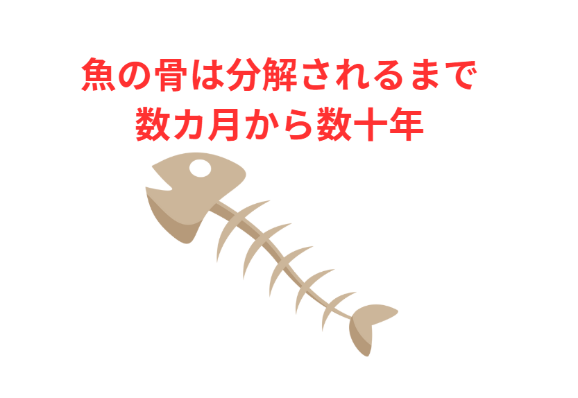 魚の骨は分解されるまで数カ月から数十年を要する。釣太郎