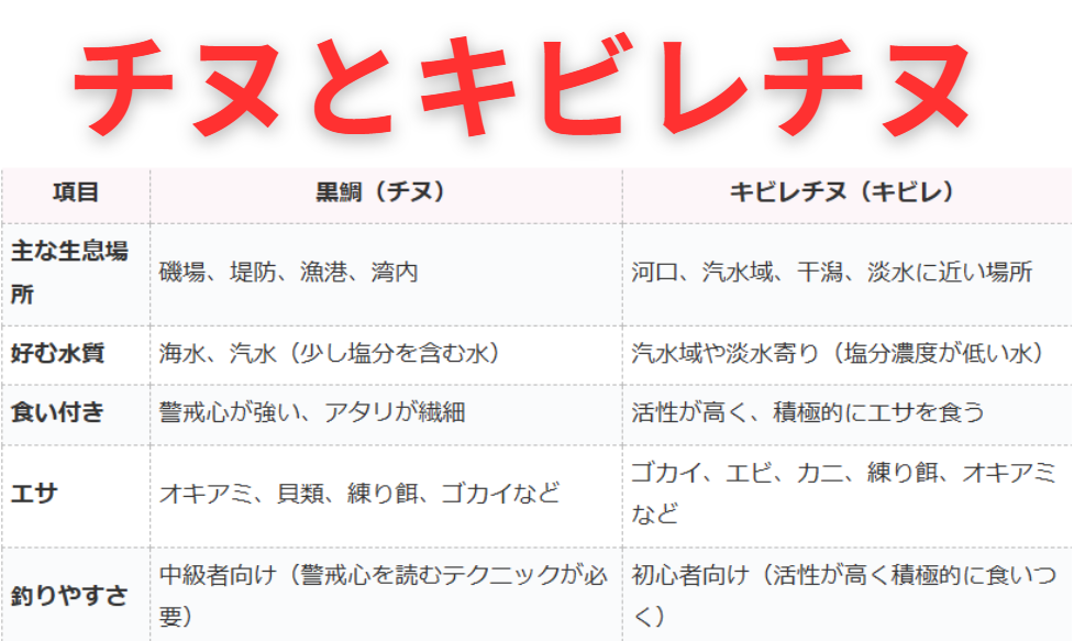 チヌ（クロダイ）とキビレチヌの違い説明。釣太郎