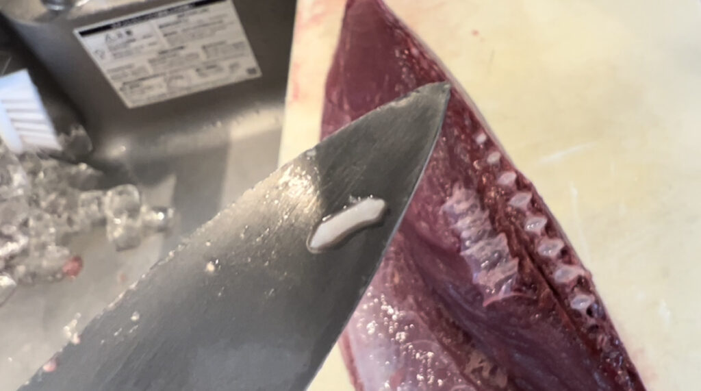 カツオは、寄生虫が多いほど美味しいという説は真実か？釣太郎