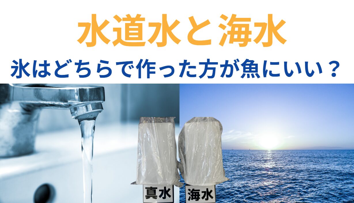 魚には真水はタブーなら、冷却する氷も海水で作った方がいい。釣太郎