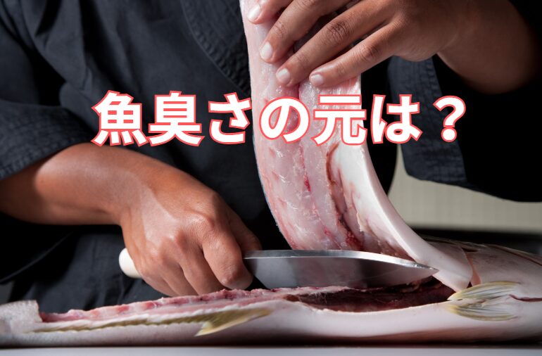 魚の生臭さ原因説明。釣太郎