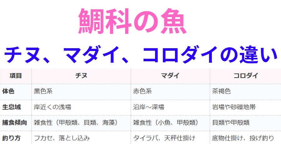 チヌ、真鯛、コロダイは鯛科の仲間の魚で海底にいる。それぞれの特徴紹介。釣太郎