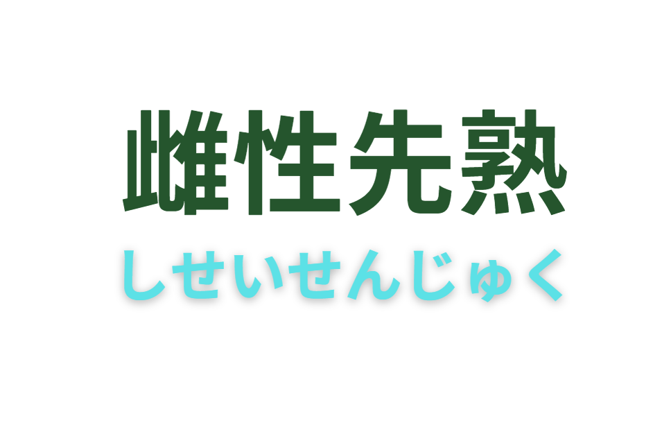 魚の「雌性先熟」について、わかりやすく解説。グレ、チヌ、ハタ系等が代表例。釣太郎