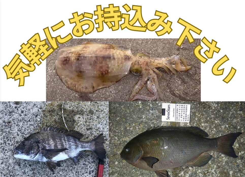 アオリイカ、グレ、チヌ、その他、気軽にお持ち込み下さい。釣太郎