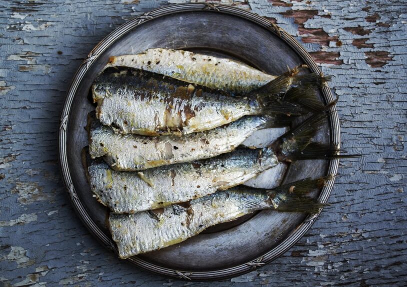 目刺し（イワシ干物）――現代人のカルシウム不足を救うスーパー食材！釣太郎