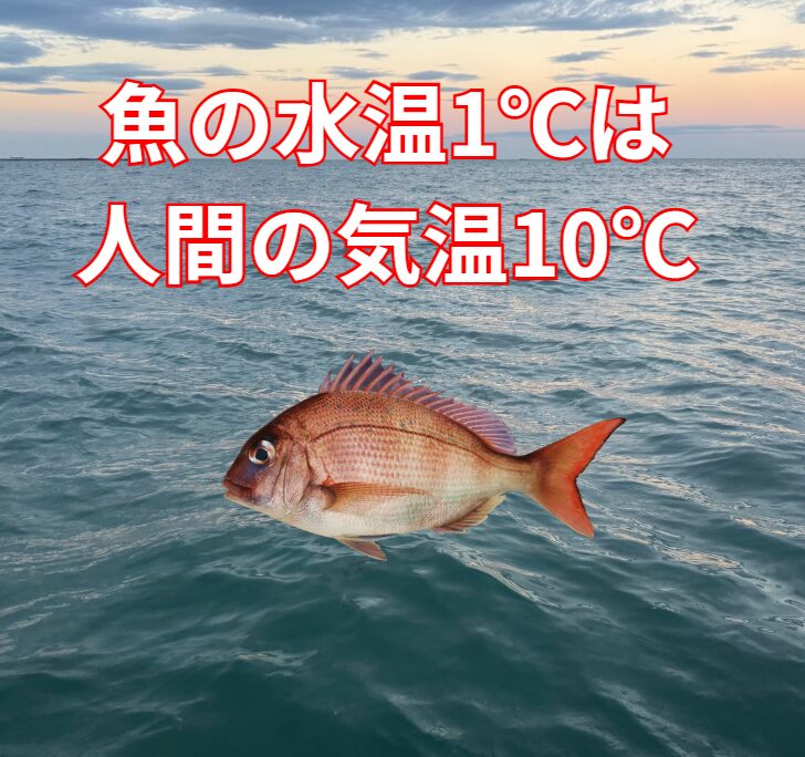 一般的には、魚の海水温度が1度変化すると、その影響は人間が10度近い気温変化を感じるのと同等とも言われています。釣太郎
