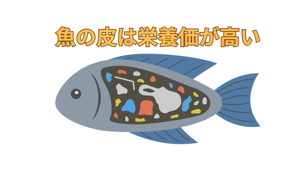 魚の皮の栄養は、魚種ごとに変わる。釣太郎