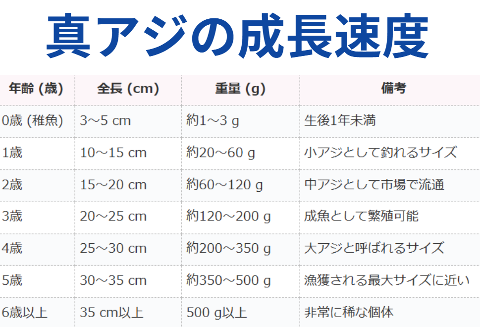 マアジの成長一覧表。重量、体長、年齢。釣太郎