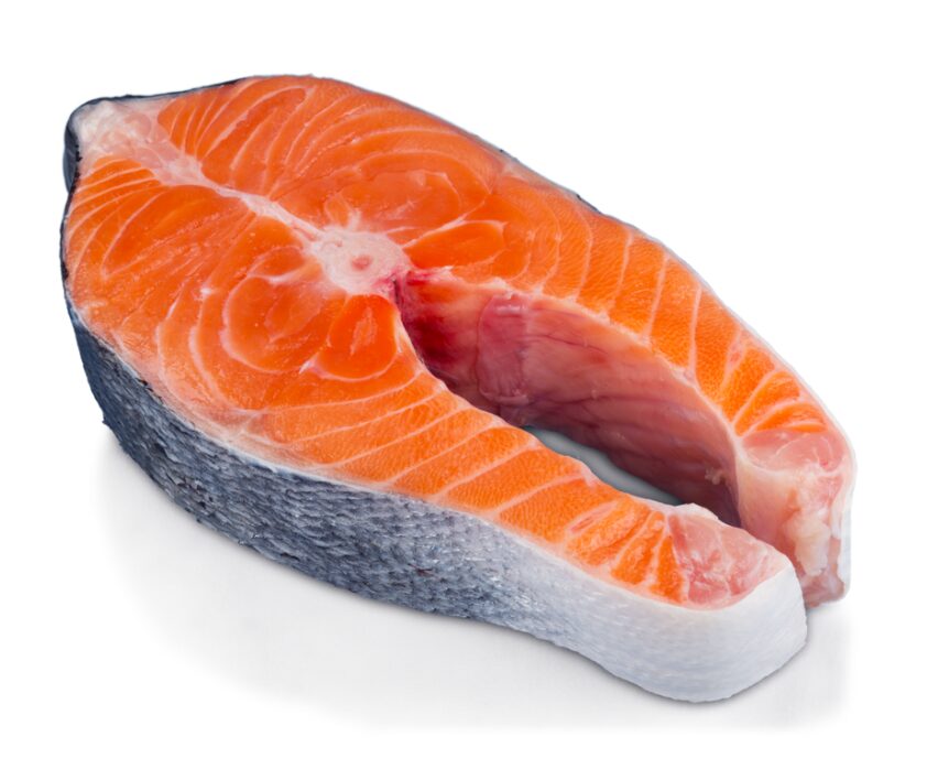 サーモンは栄養価が高い。釣太郎