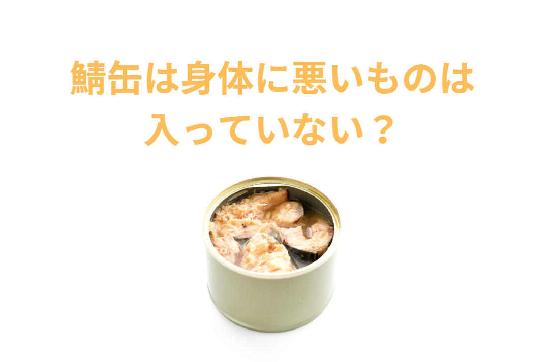 サバ缶詰は体に悪いものは入っていない？釣太郎