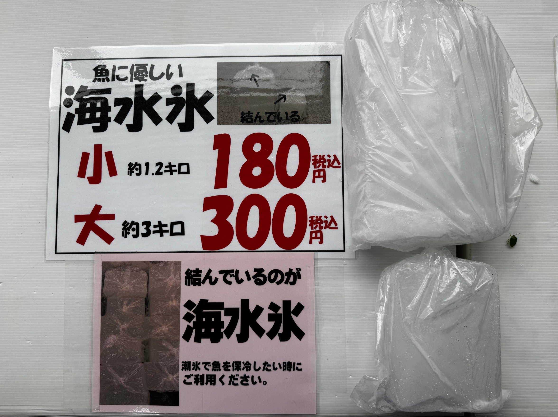 魚の冷やすだけなら普通氷より「海水氷」がベター。釣太郎