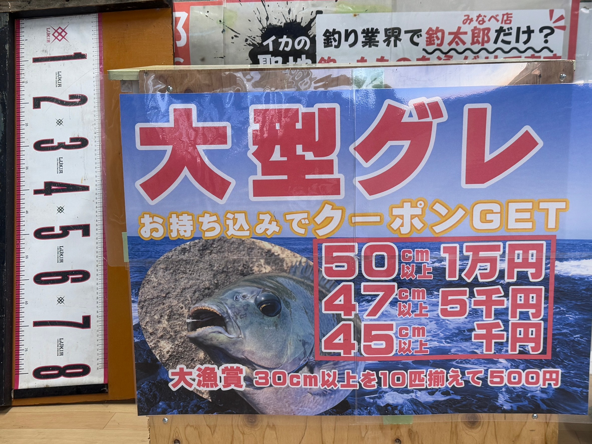 グレ釣ったらお持ち込みください。クーポン券ご用意して、お待ち敷いております。釣太郎