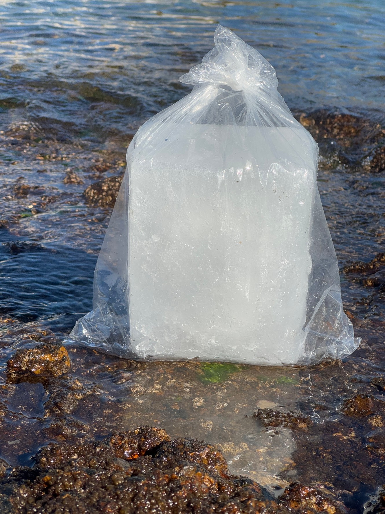 釣り人に人気が高い海水氷は海水を凍らせています。魚冷却専用ですが、真水より魚に優しいと大ブレイク中。釣太郎