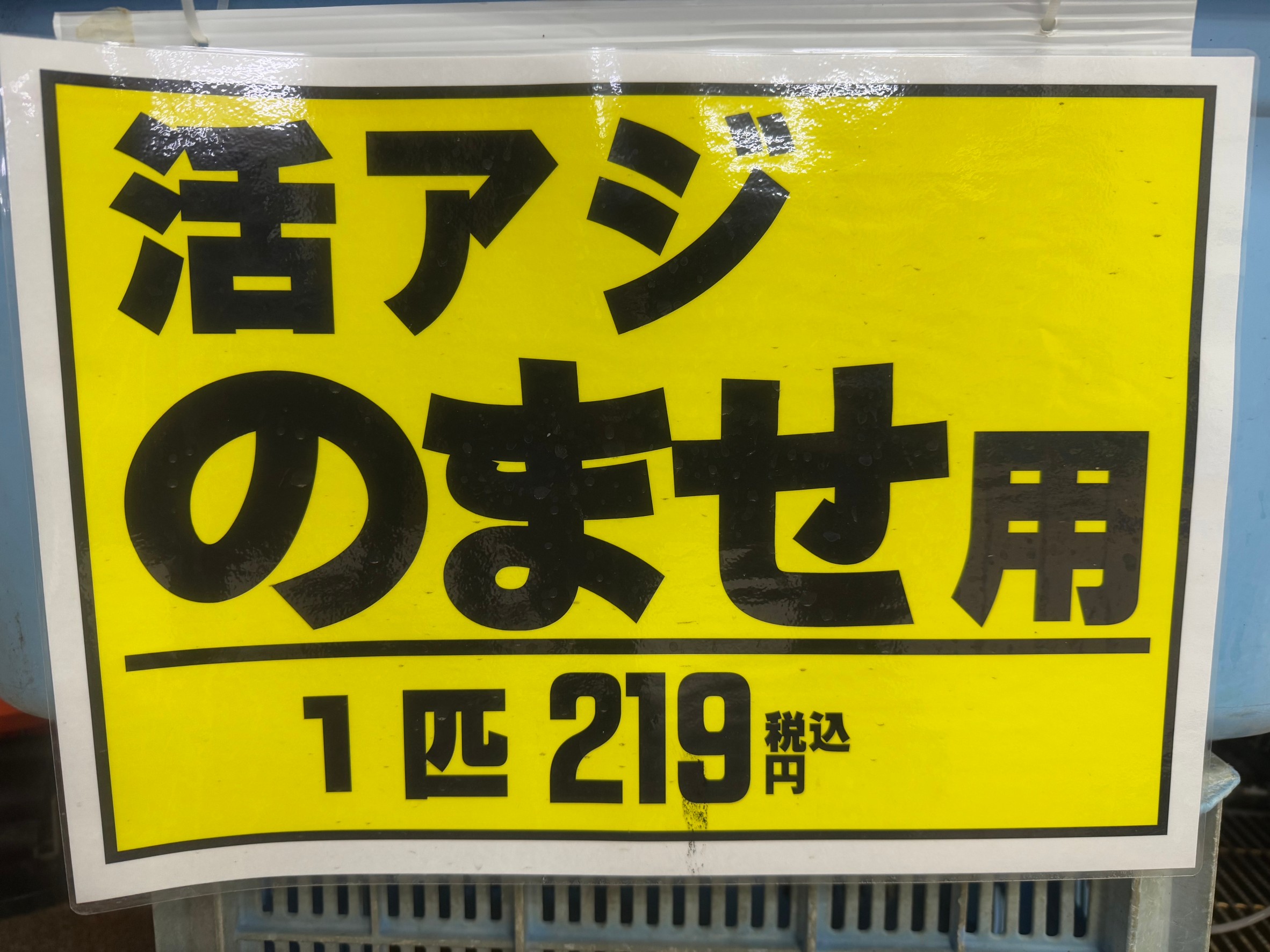青物魚、ヒラメ用飲ませ釣用活アジあります。釣太郎