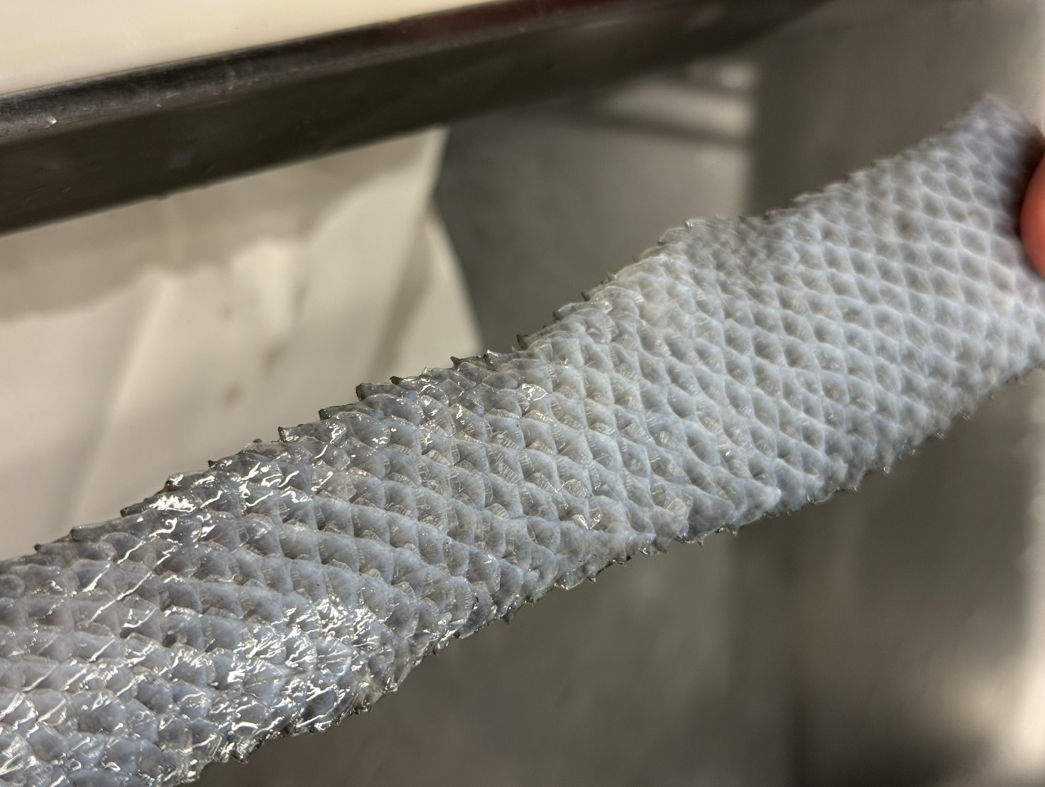 魚の皮や鱗の美味しさは魚種によって異なるが美味。栄養価も高い。釣太郎