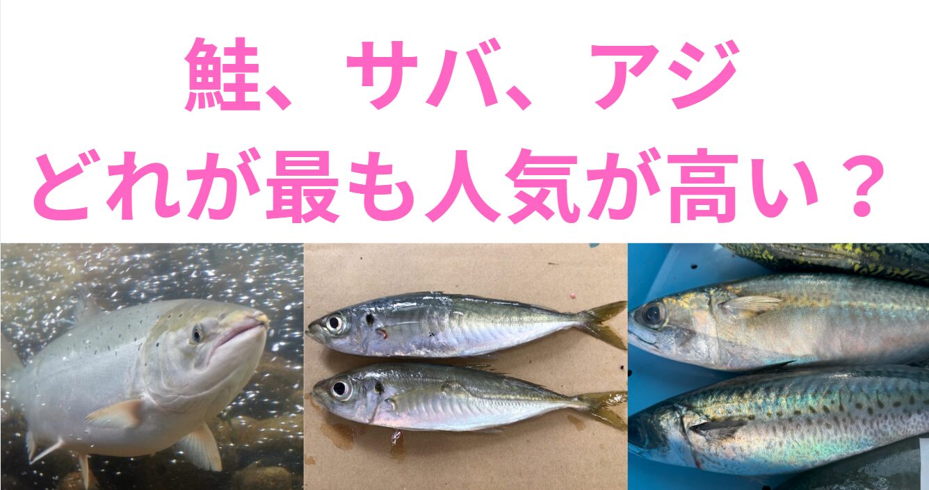 鮭・サバ・アジ」人気ランキング！最も売れている魚はどれ？釣太郎