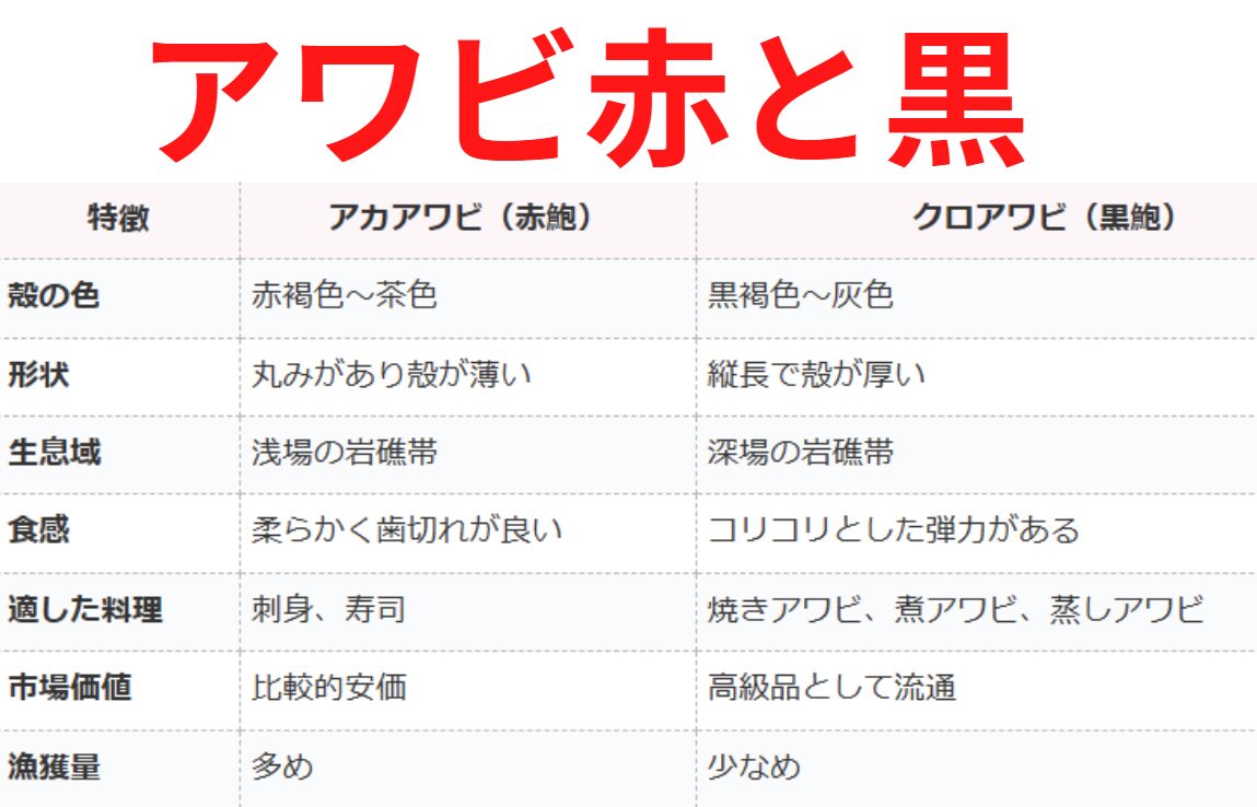 アカアワビとクロアワビの違い説明。釣太郎