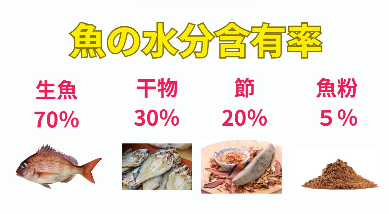 魚の水分含有率。生、干物、節、粉末で大きく異なる。釣太郎