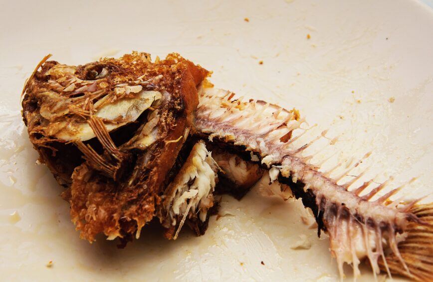 魚の骨は生より乾燥させた方がクリアでいい出汁が取れる。釣太郎